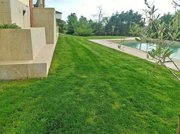 Jardinería O Paraíso en Rianxo